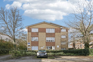 Photo 9- click for photo gallery